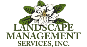 Landscape Management